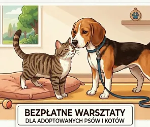 Adoptowałeś psa lub kota ze schroniska? Skorzystaj z bezpłatnej pomocy behawiorysty!