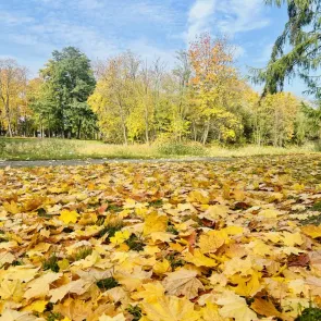 Wzmocnienie ochrony przyrody i bioróżnorodności w Parku Staromiejskim w Sieradzu