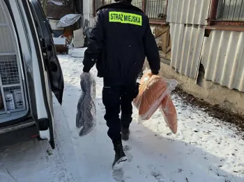 pomoc osobom w kryzysie bezdomności (2)