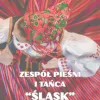 Koncert zespołu 