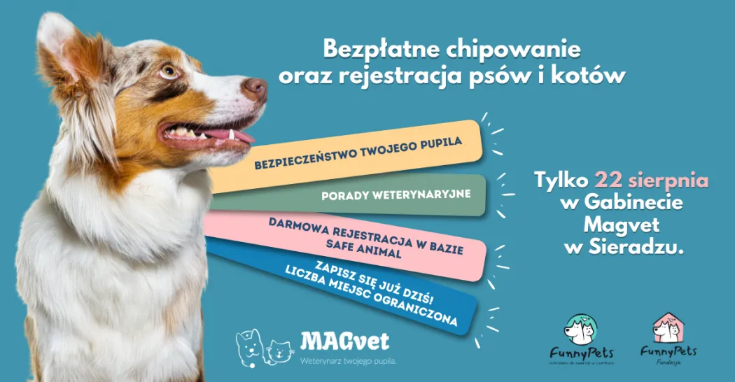 Bezpłatne chipowanie i rejestracja psów i kotów – akcja prozwierzęca w Sieradzu