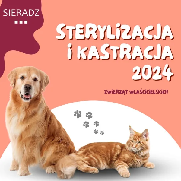 Rusza sterylizacja i kastracja psów, suk, kotrów i kotek