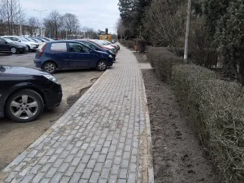 img_20260224_161708474