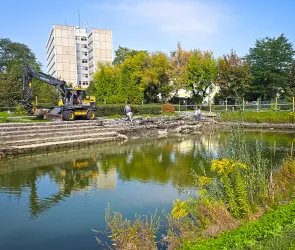 Oczyszczanie stawu przy ul. Ogrodowej