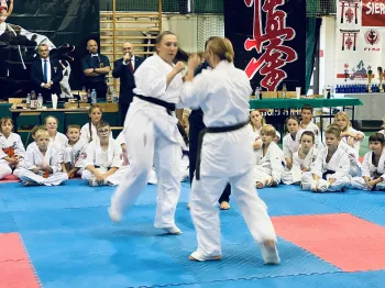 karate (11)