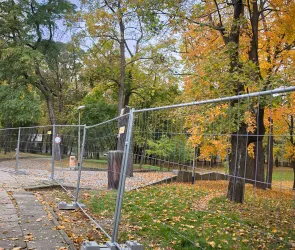 Zaczeło się w Parku Staromiejskim