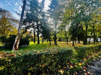 park staromiejski 1
