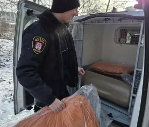 Pomoc Strażników Miejskich