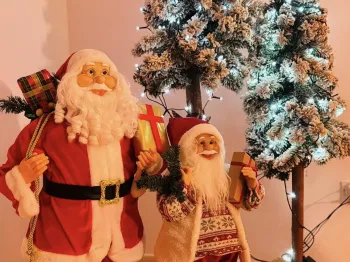 pierwsze wydarzenia w dworku modrzewiowym (10)