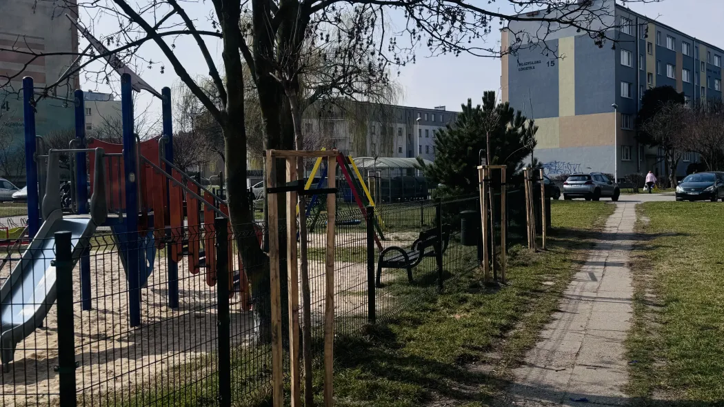 Więcej zieleni w Sieradzu