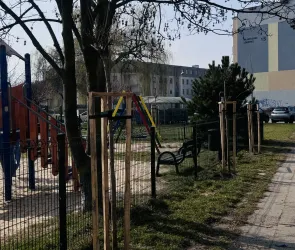 Więcej zieleni w Sieradzu