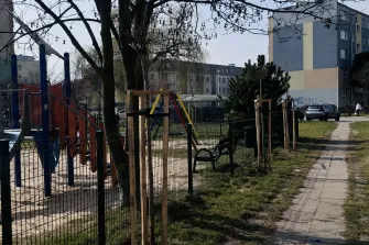 Więcej zieleni w Sieradzu