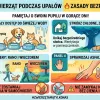 Jak zadbać o zwierzęta w trakcie letnich upałów? Kluczowe zasady i wskazówki